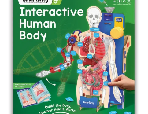 Interactive Human Body | 8 – 14 years | DIY STEM Construction Toy